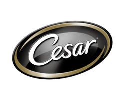 Cesar 西莎