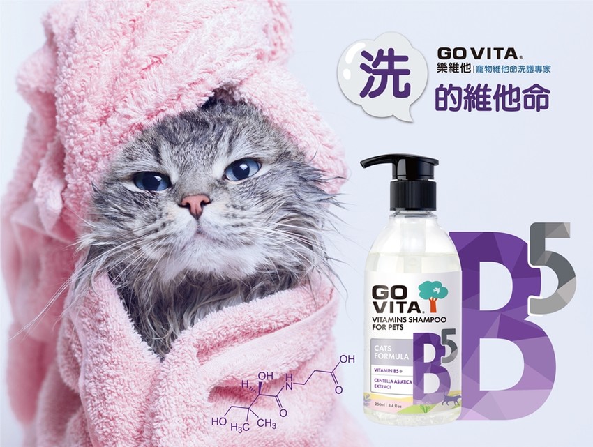 govita-b5-樂維他-B5貓咪專用配方250ml
