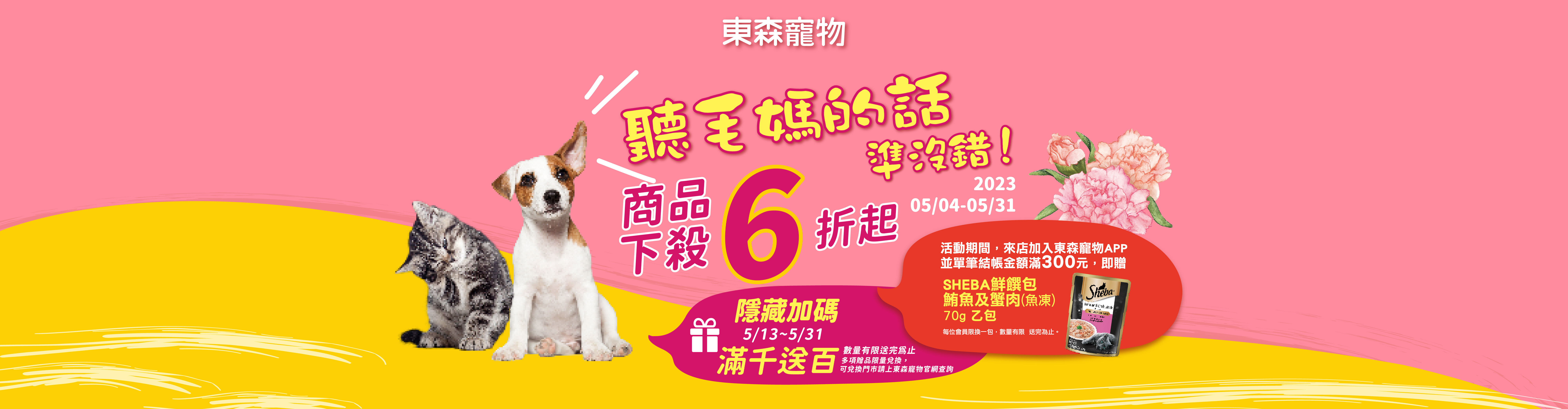  5月檔期