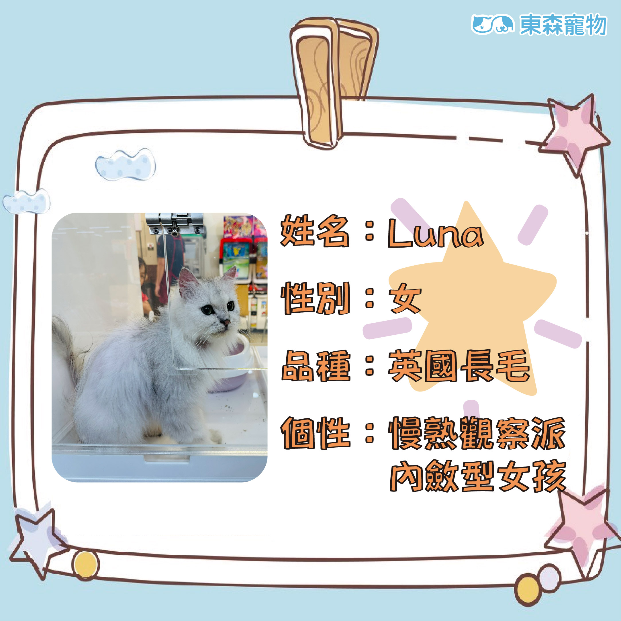 朴子認養