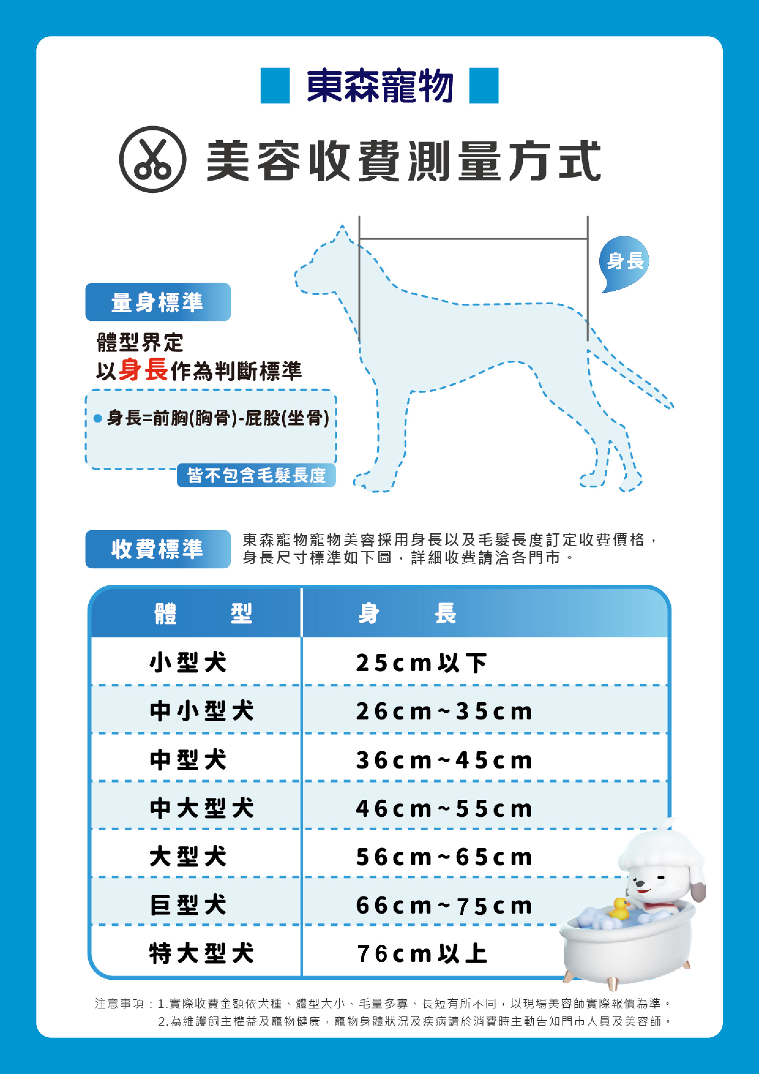 美容尺寸
