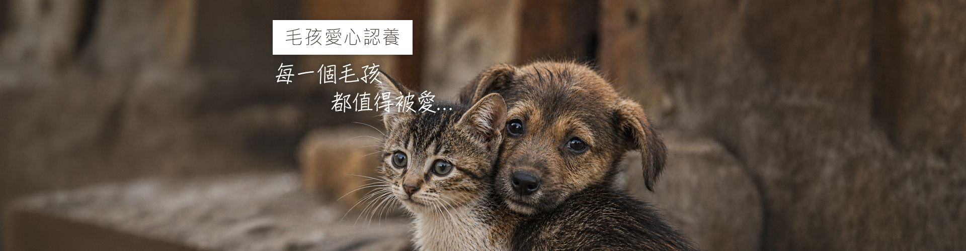 認養長條