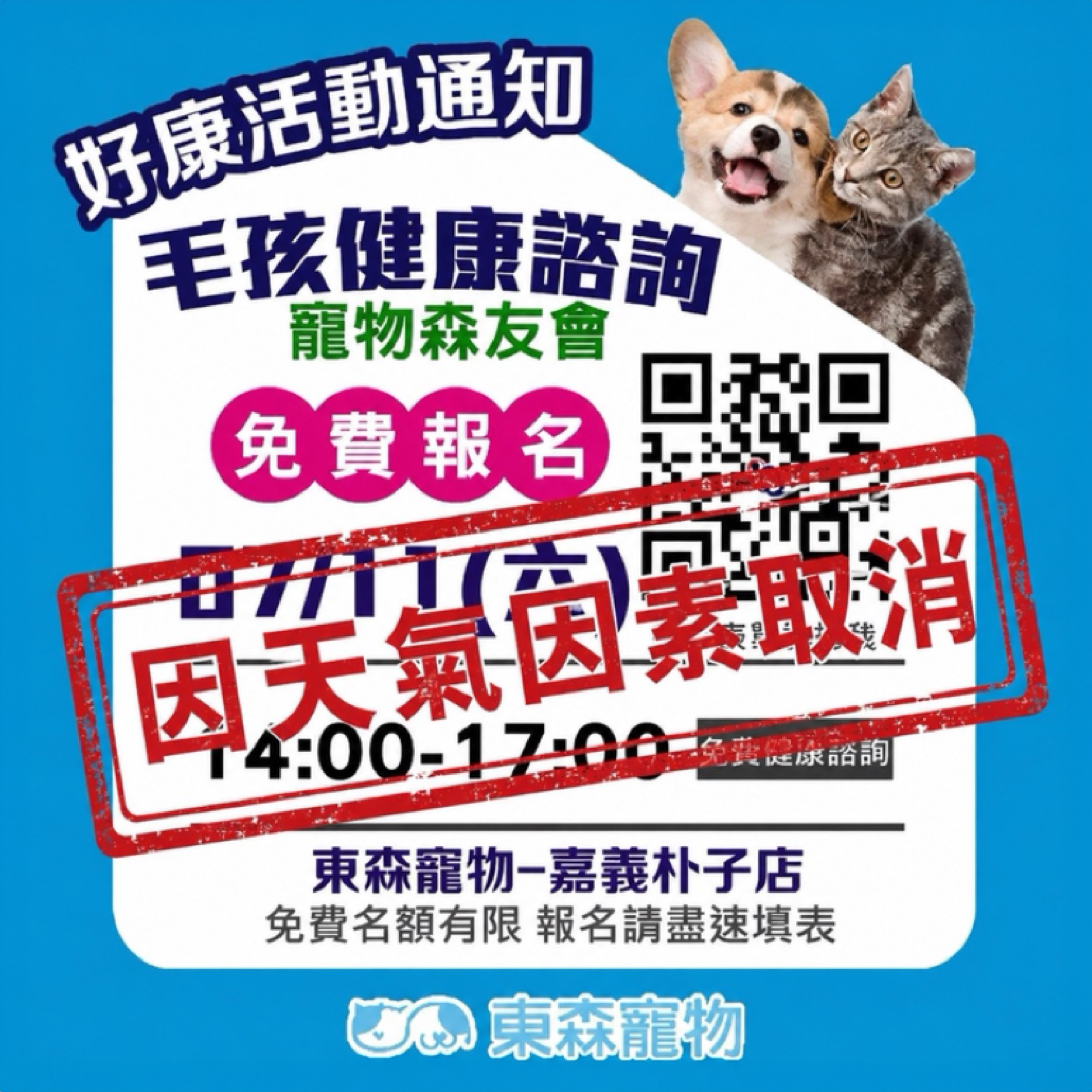 朴子取消
