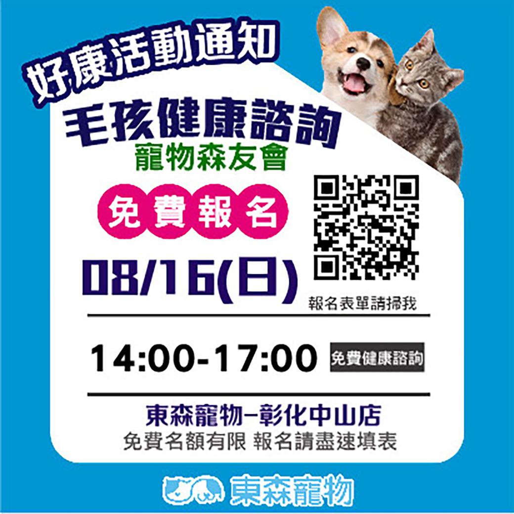 沙鹿活動 沙鹿活動