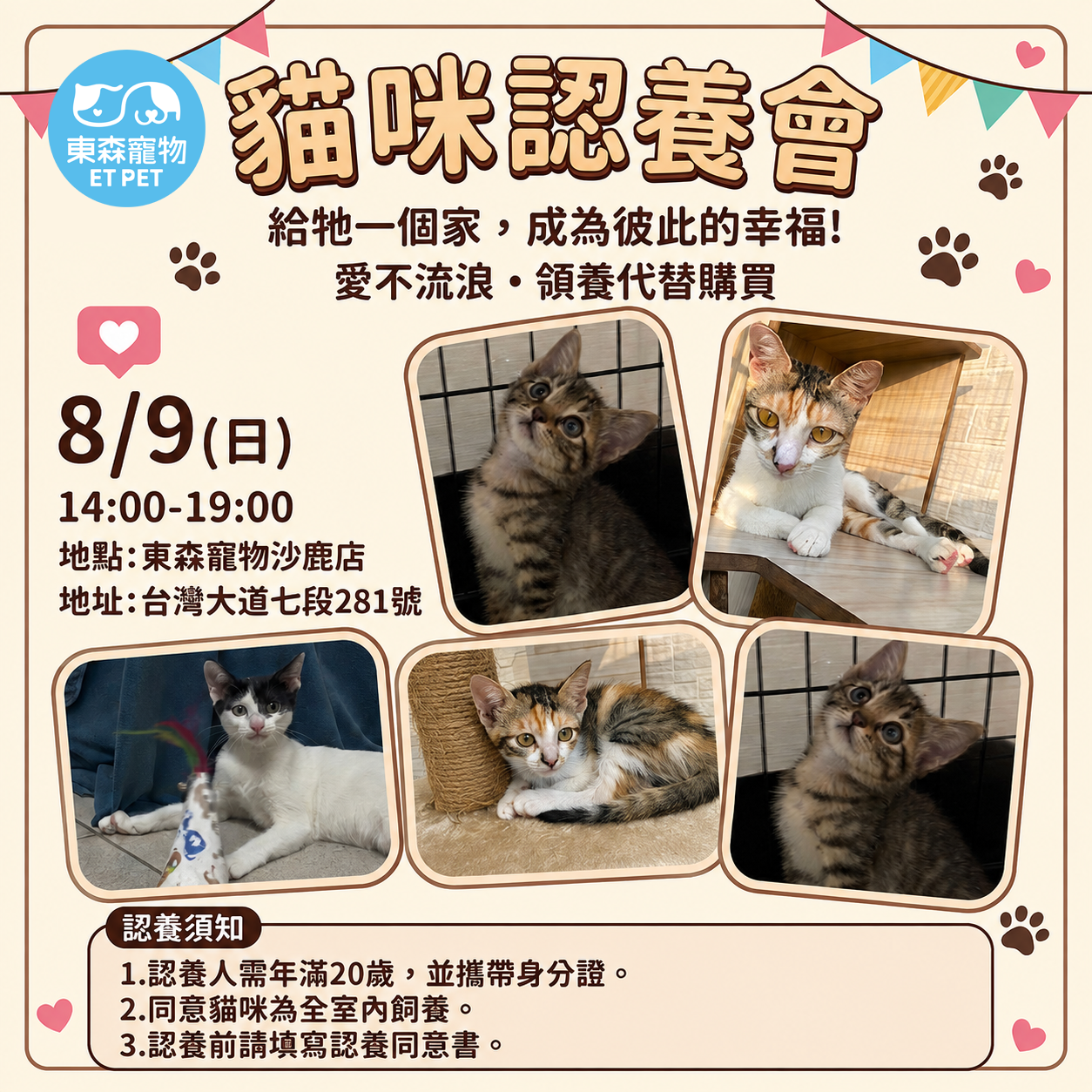 沙鹿活動 沙鹿活動
