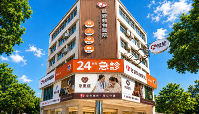 台南總院