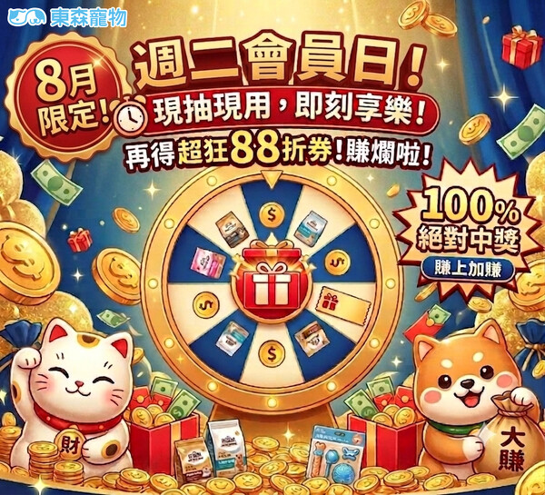 新轉盤官內